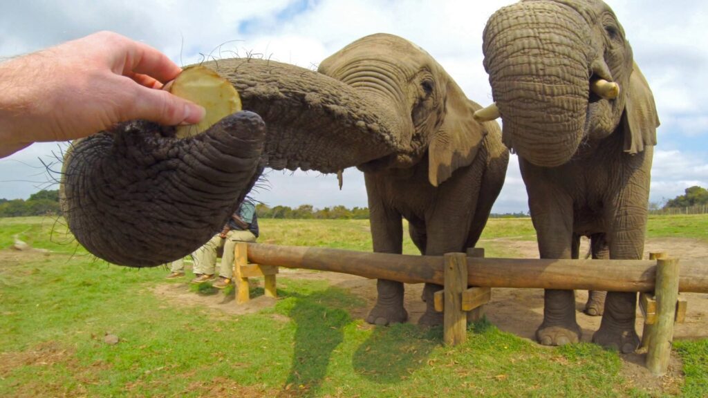 cosa vuol dire pov sui social